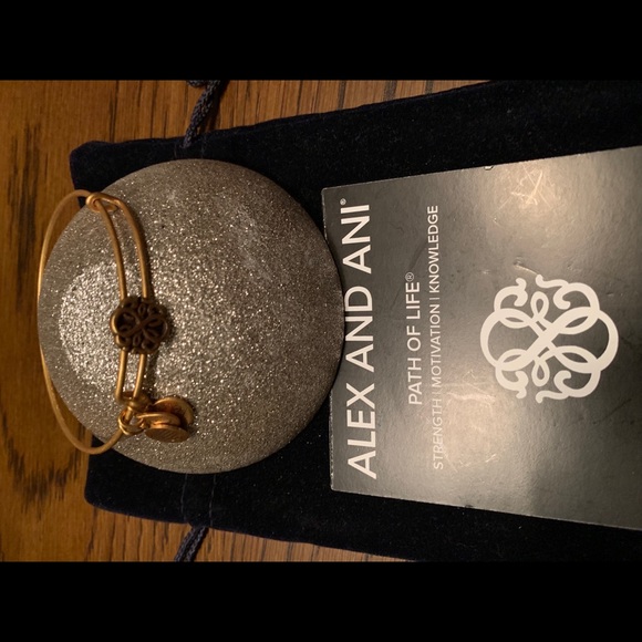 Alex and Ani Path of Life slider bracelet - Picture 2 of 4